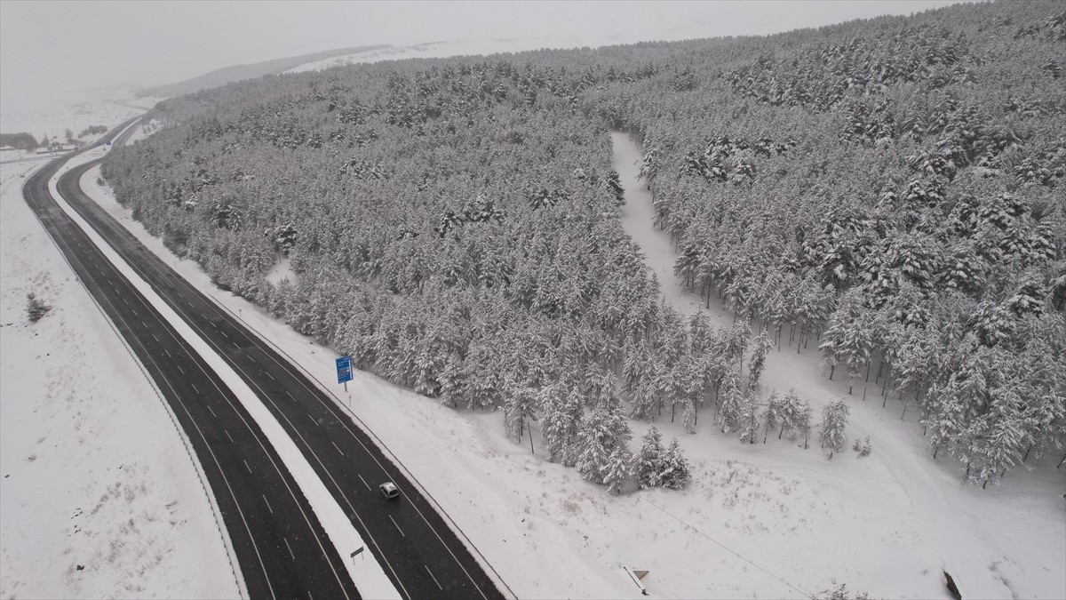 Ardahan'da etkili olan kar yağışının ardından Ardahan-Göle kara yolu ile Sarıçam ormanları beyaza...