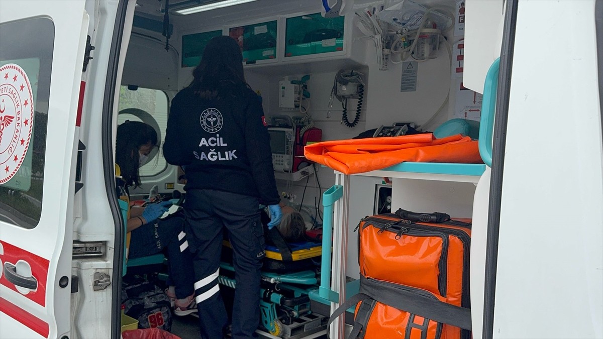 Aydın'ın Söke ilçesinde otomobilin şarampole devrilmesi sonucu 7 kişi yaralandı.