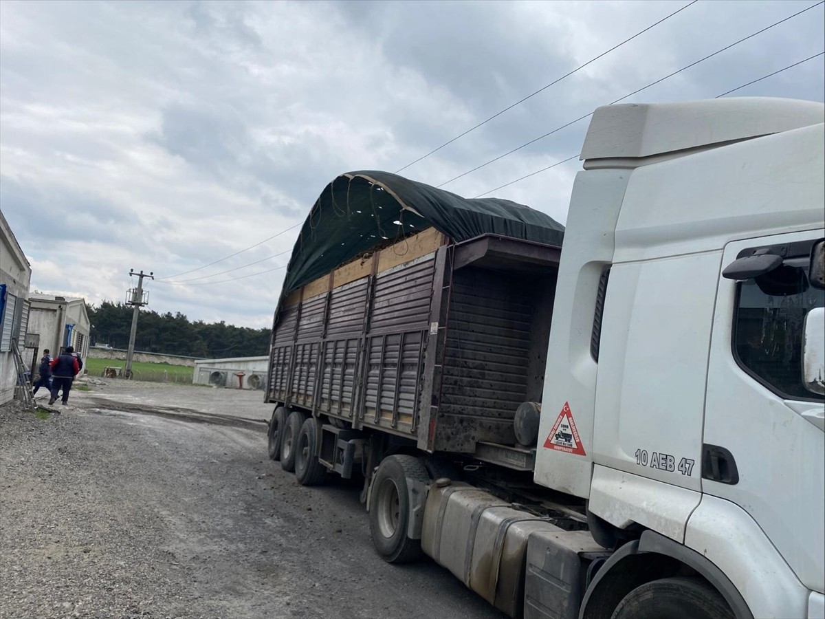 Balıkesir'in Savaştepe ilçesinde elektrik akımına kapılan şoför hayatını kaybetti. Sürücü Orhan...