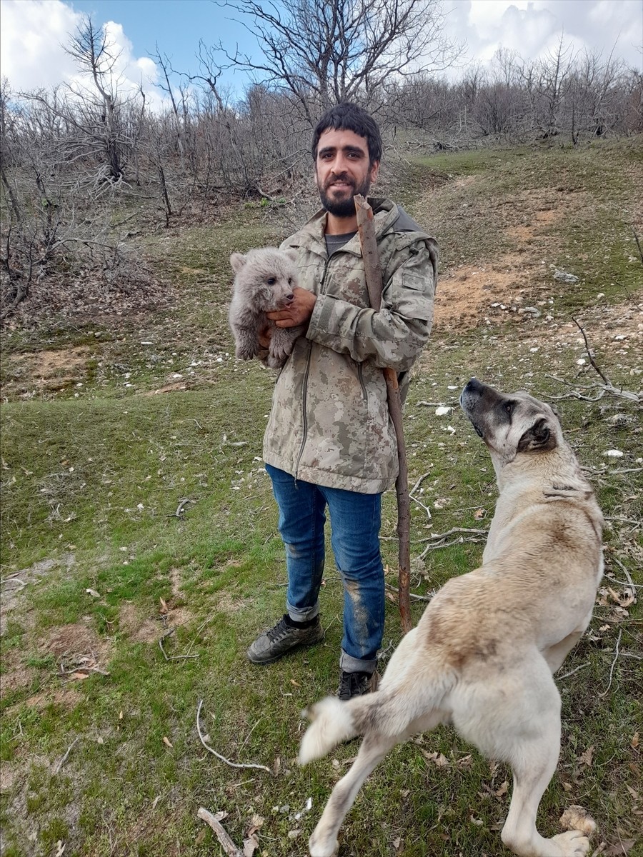 Bingöl'ün Genç ilçesinde iki kardeş, çoban köpeklerinin saldırısından kurtardıkları ayı yavrusunu...