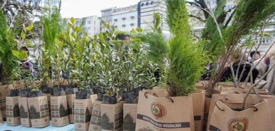 Bursa’da bedava yağmuru sürüyor! 1 hafta boyunca dağıtılacak 