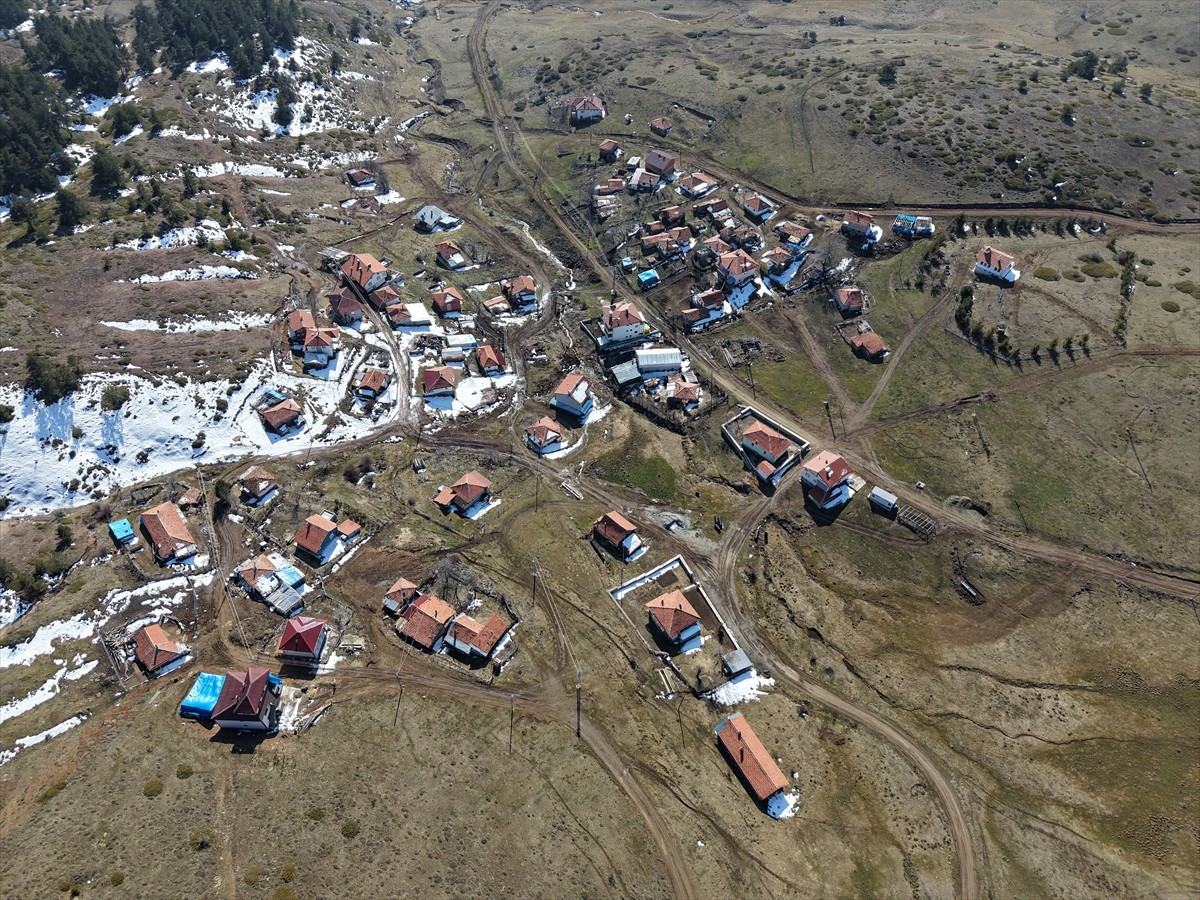 Çankırı'nın Yapraklı ilçesinde, baharın müjdecisi olarak bilinen çiğdemler çiçek açtı. Ana yurdu...