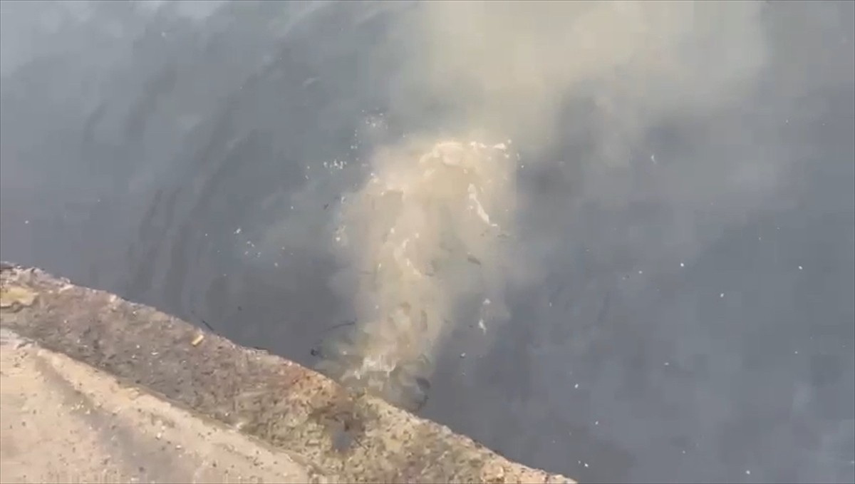 Çevre, Şehircilik ve İklim Değişikliği Bakanlığınca, Üsküdar'daki Kuleli Askeri Lisesi önünden...