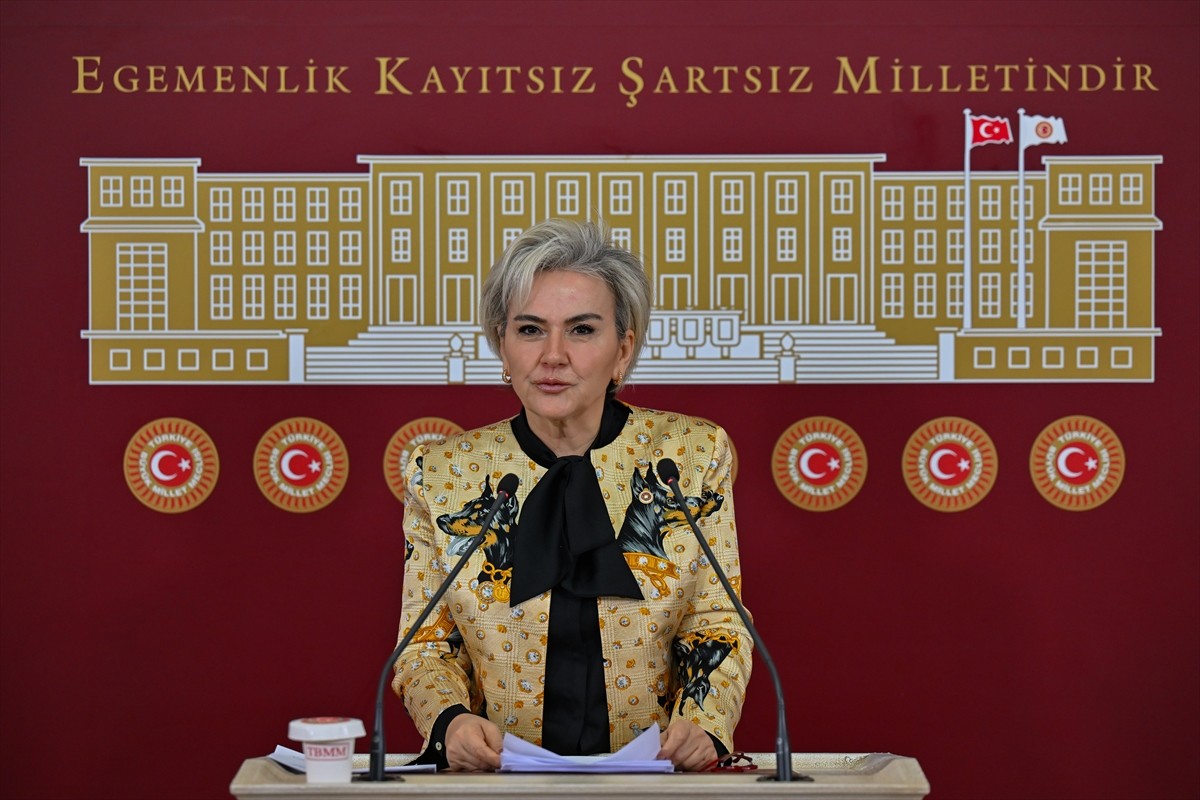 CHP İstanbul Milletvekili Nimet Özdemir, TBMM'de basın toplantısı düzenledi.