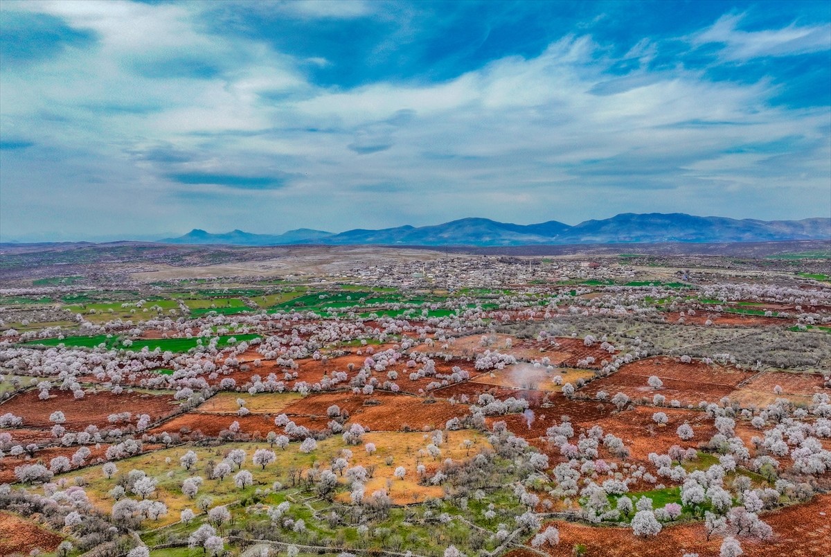 Diyarbakır'da inanç ve doğa turizmiyle ilgi gören Eğil ilçesi, badem ağaçlarının çiçek açmasıyla...