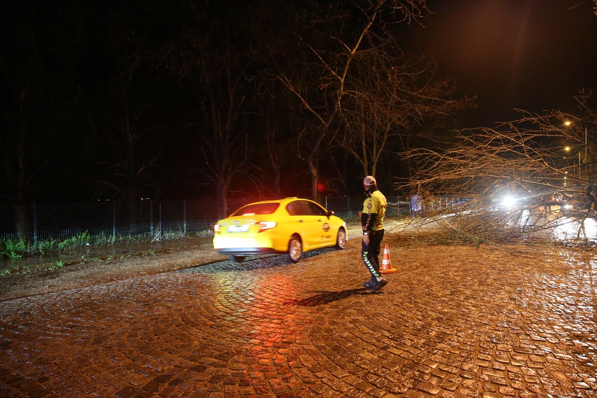 Edirne'de şiddetli sağanak nedeniyle Kent Ormanı'ndaki bir ağaç Lozan Caddesi'ne devrildi. Yolun...