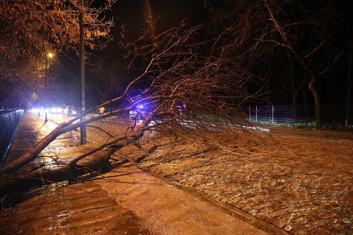 Edirne'de şiddetli sağanak nedeniyle Kent Ormanı'ndaki bir ağaç Lozan Caddesi'ne devrildi. Yolun...