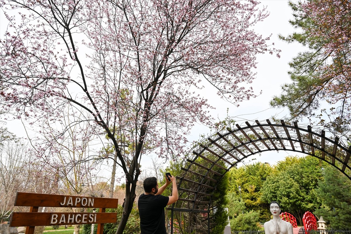 Gaziantep Botanik Bahçesi, ilkbaharın gelişiyle açan çiçeklerle kırmızı, sarı, beyaz ve turuncu...