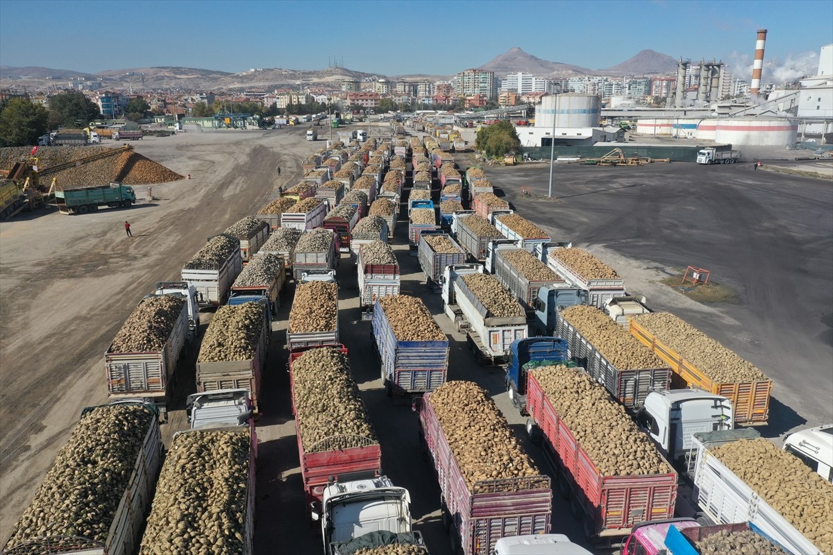 İklim değişikliğiyle birlikte mevsimsel sıcaklıklarda yaşanan artış, şeker pancarından elde edilen...
