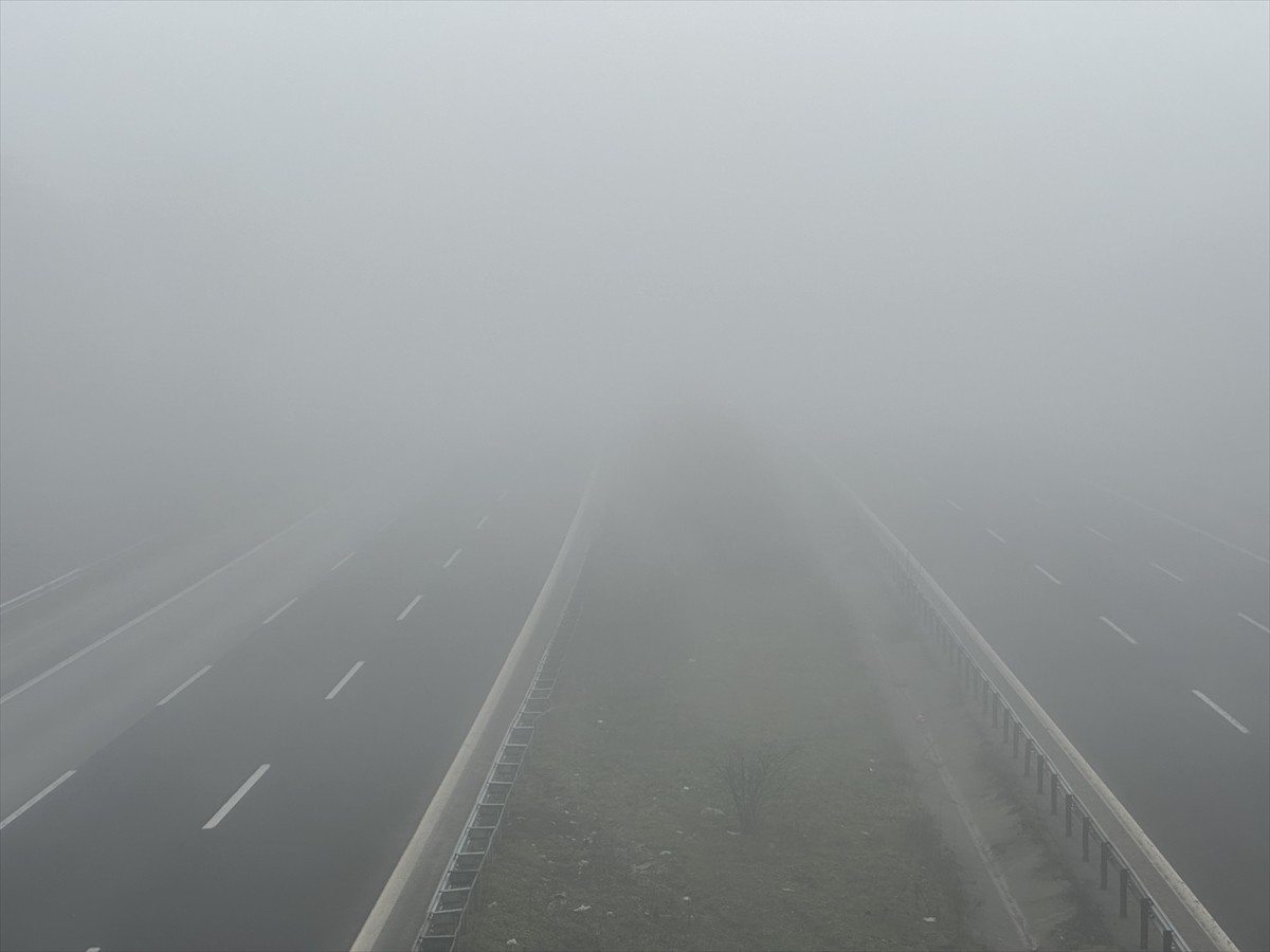 İstanbul ile Ankara arasında ulaşımı sağlayan Anadolu Otoyolu'nun Düzce kesiminde sis nedeniyle...