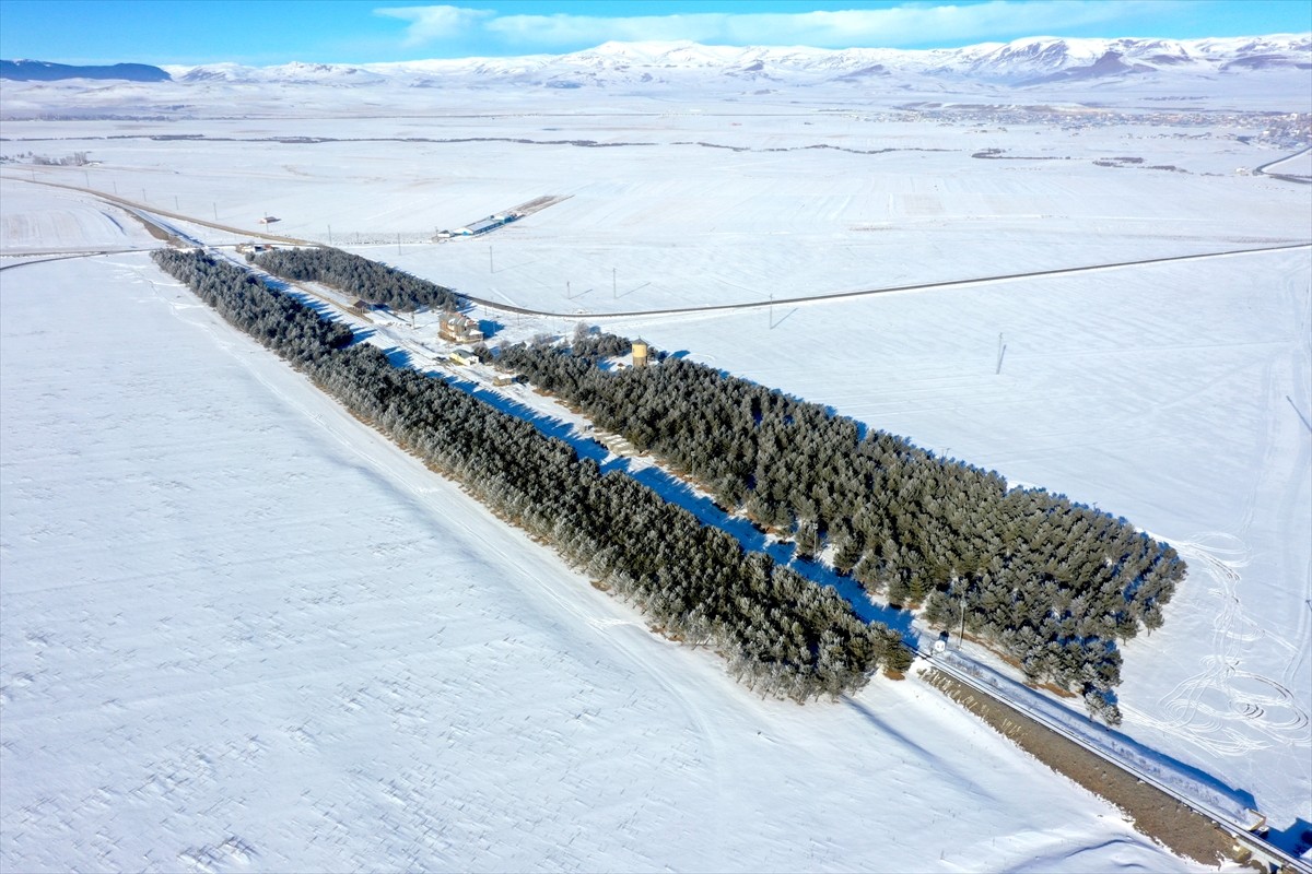 Kars'ın Selim ilçesinde, 56 yıl önce Türkiye Cumhuriyeti Devlet Demiryollarınca (TCDD)...