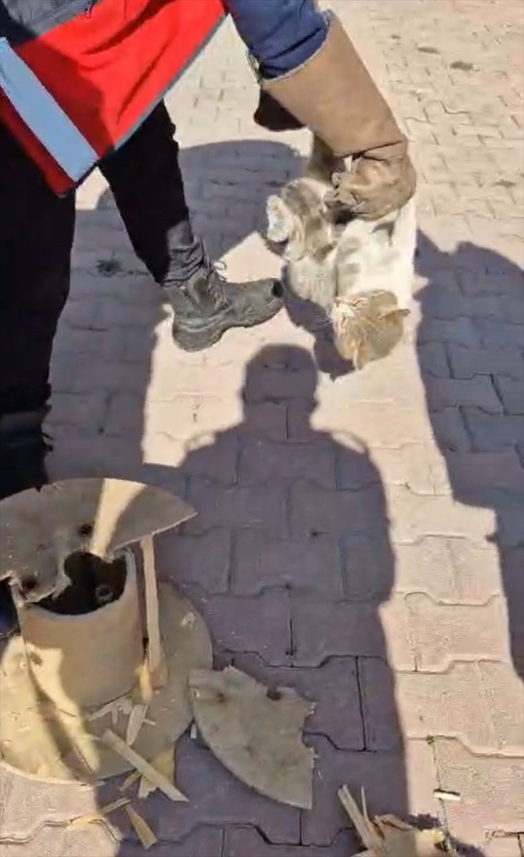 Kayseri'nin Kocasinan ilçesinde ahşap kablo makarasına sıkışan kedi, itfaiye ekibince...
