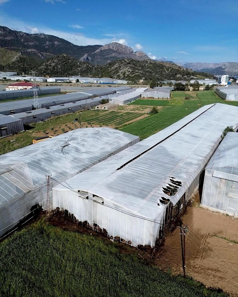  Mersin'in Bozyazı ilçesinde yangın çıkan 2 serada hasar oluştu.