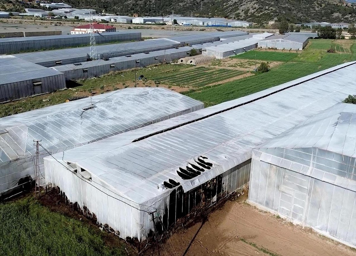  Mersin'in Bozyazı ilçesinde yangın çıkan 2 serada hasar oluştu.