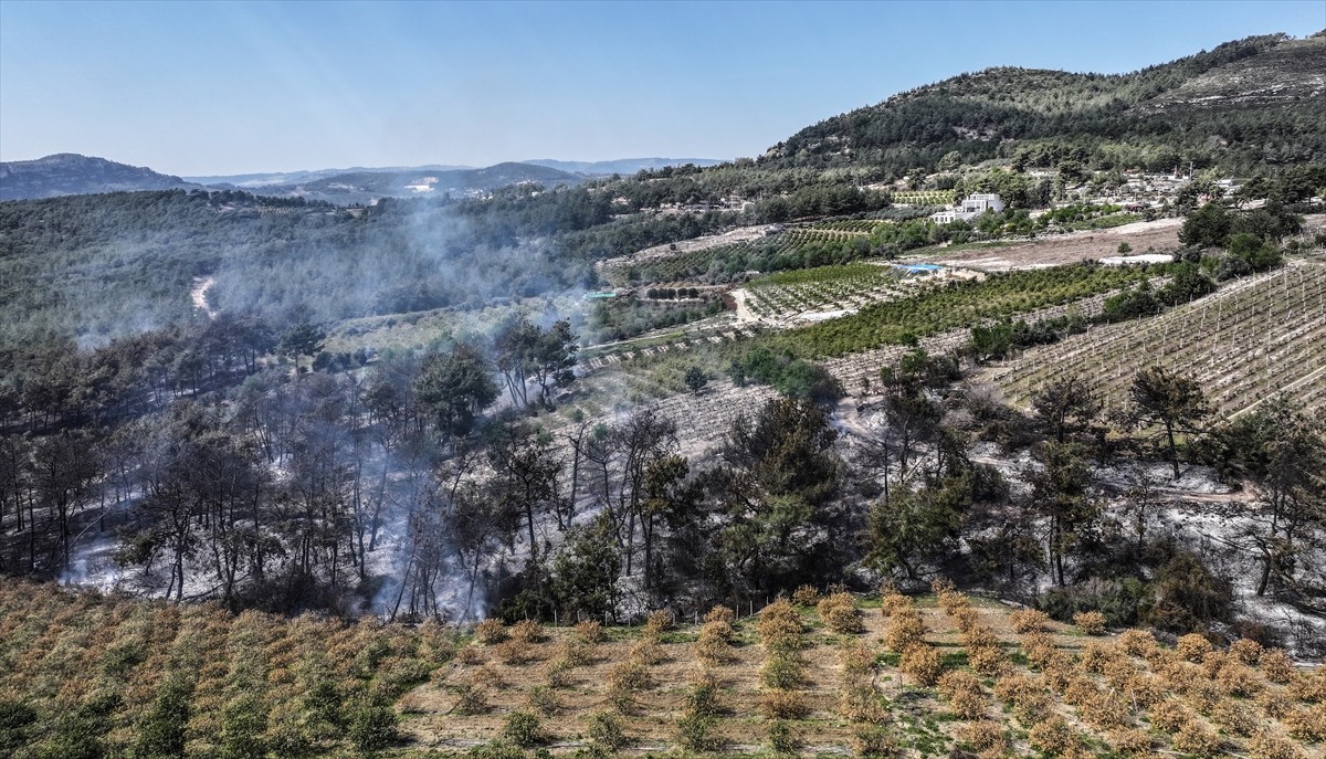 Mersin'in Yenişehir ilçesinde tarım arazisinde çıkan yangın, kontrol altına alındı.