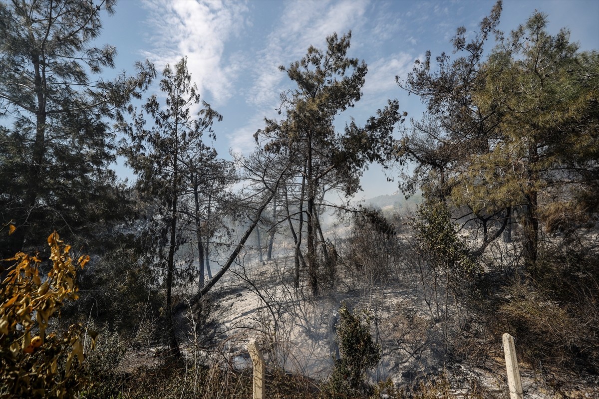 Mersin'in Yenişehir ilçesinde tarım arazisinde çıkan yangın, kontrol altına alındı.