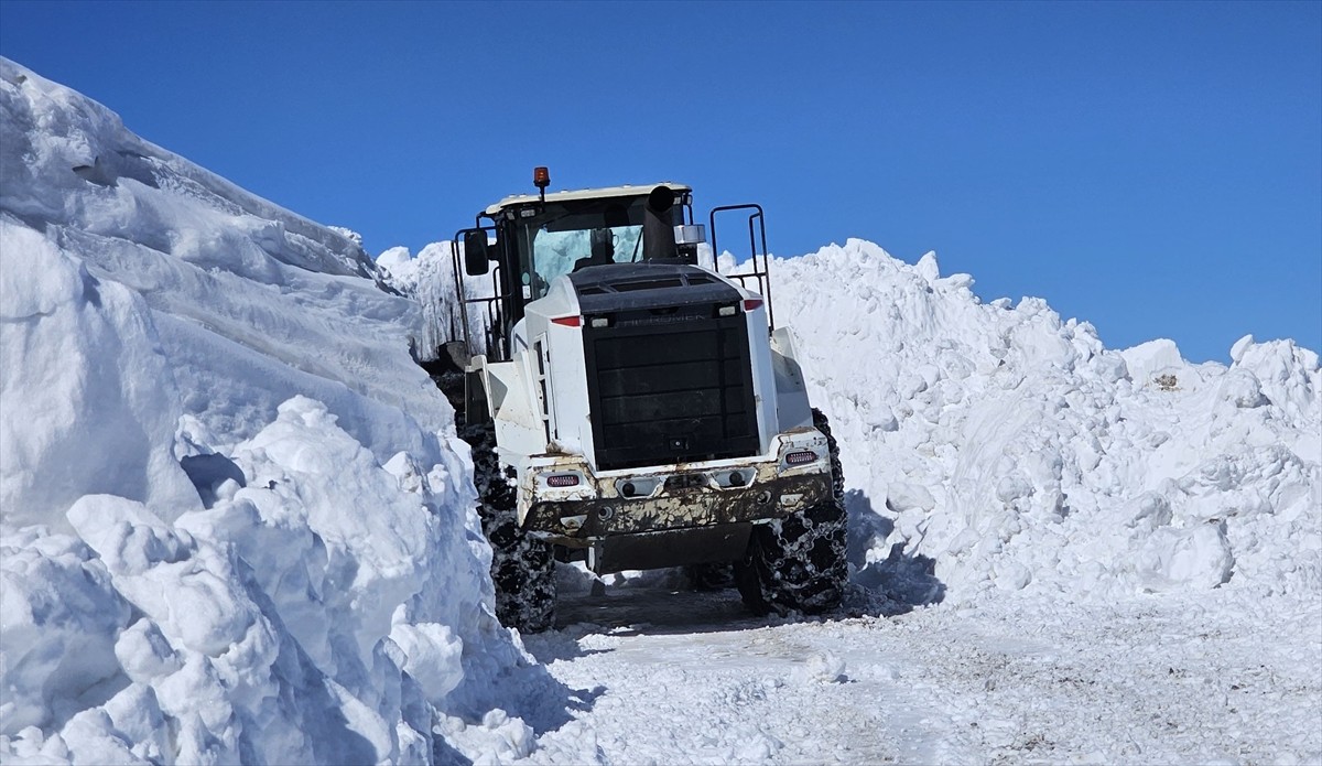Muş'ta kar ve tipi nedeniyle kapanan yolların açılması için çalışmalar devam ediyor. Kente etkili...