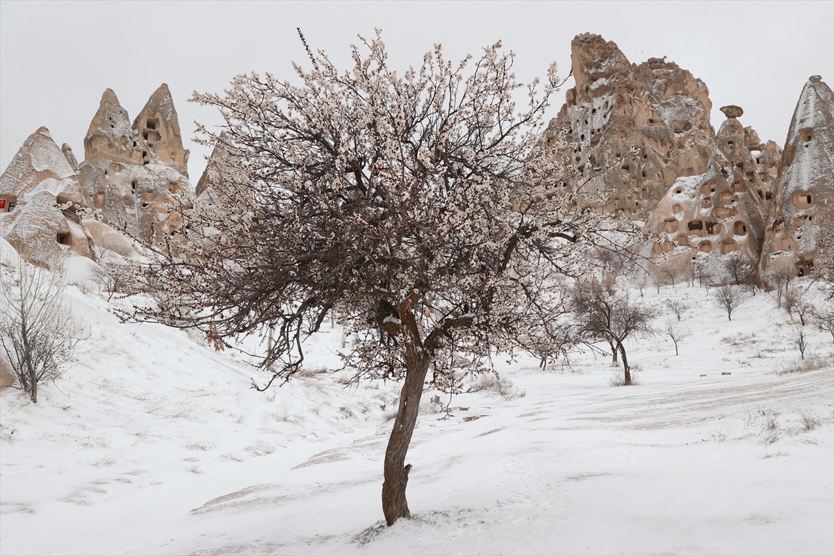 Nevşehir'de 2 gündür etkili olan kar yağışı sonrasında, turizm merkezi Kapadokya'daki peribacaları...
