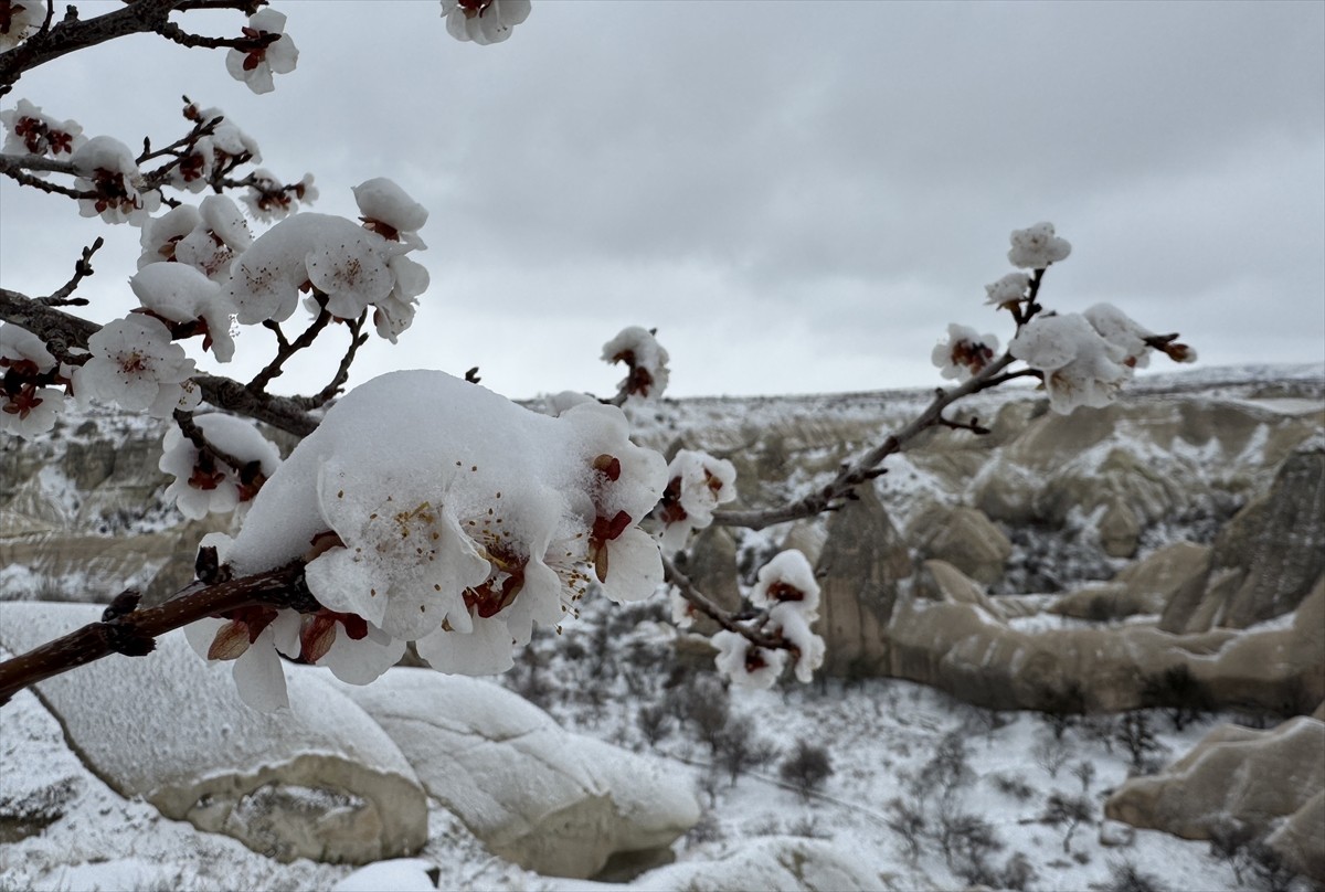 Nevşehir'de 2 gündür etkili olan kar yağışı sonrasında, turizm merkezi Kapadokya'daki peribacaları...