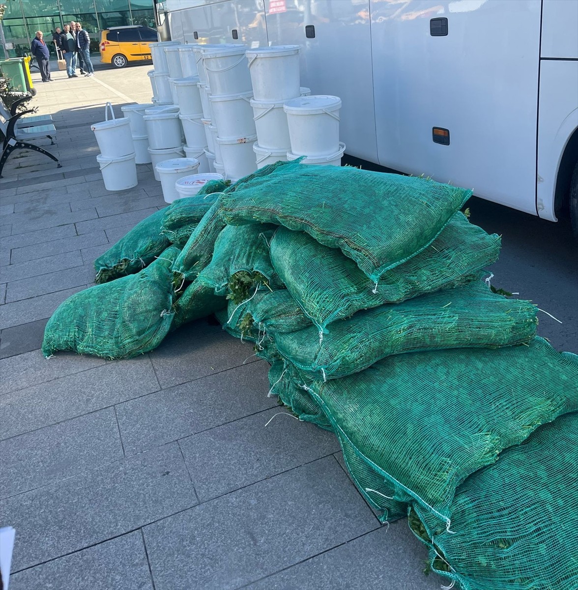 Ordu'da Büyükşehir Belediyesi Terminaller Şube Müdürlüğü ile Toptancı Halleri Şube Müdürlüğü...