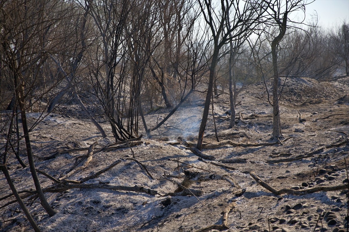 Osmaniye'deki Kastabala Kuş Cenneti'nde çıkan yangın ekiplerin müdahalesiyle söndürüldü.