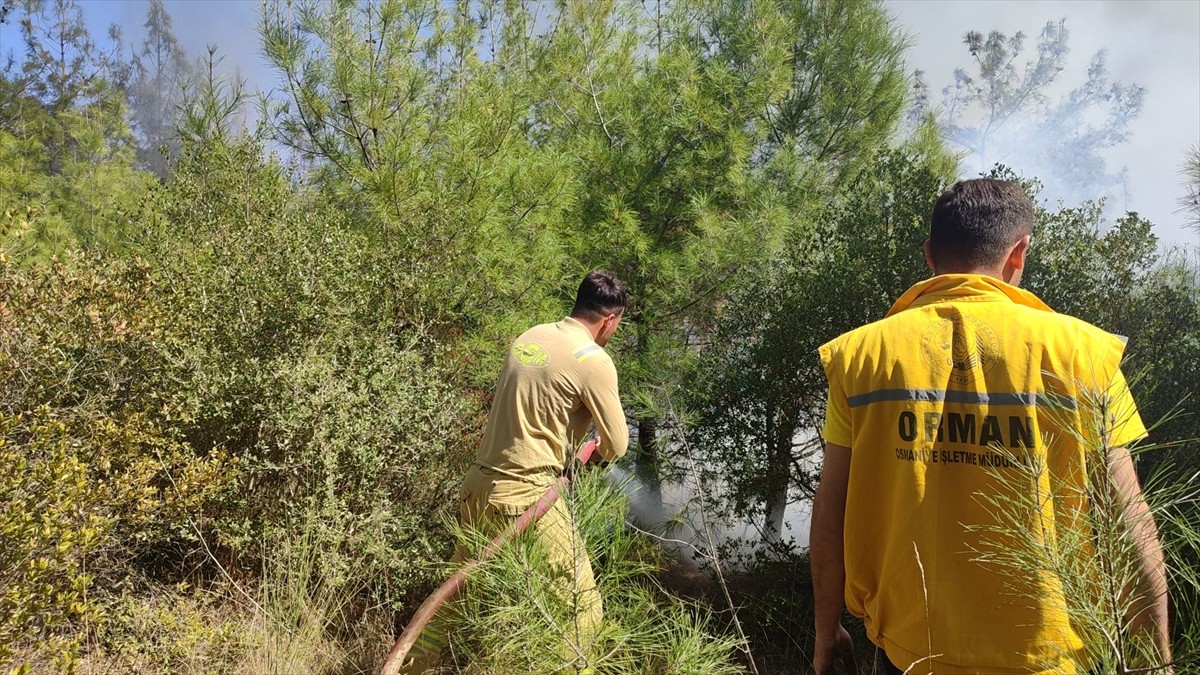 Osmaniye'nin Düziçi ilçesinde çıkan orman yangını kontrol altına alındı.