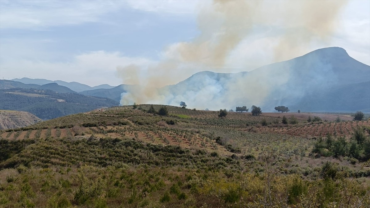 Osmaniye'nin Düziçi ilçesinde çıkan örtü yangını ekiplerin müdahalesiyle kontrol altına...