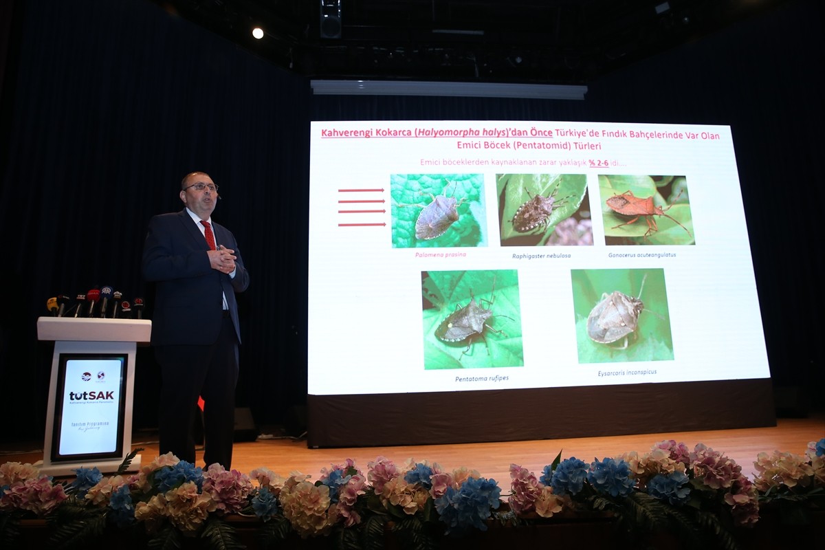 Sakarya'da akademisyenlerin ürettiği yerli feromon, bitkilere ve tarım ürünlerine zarar veren...