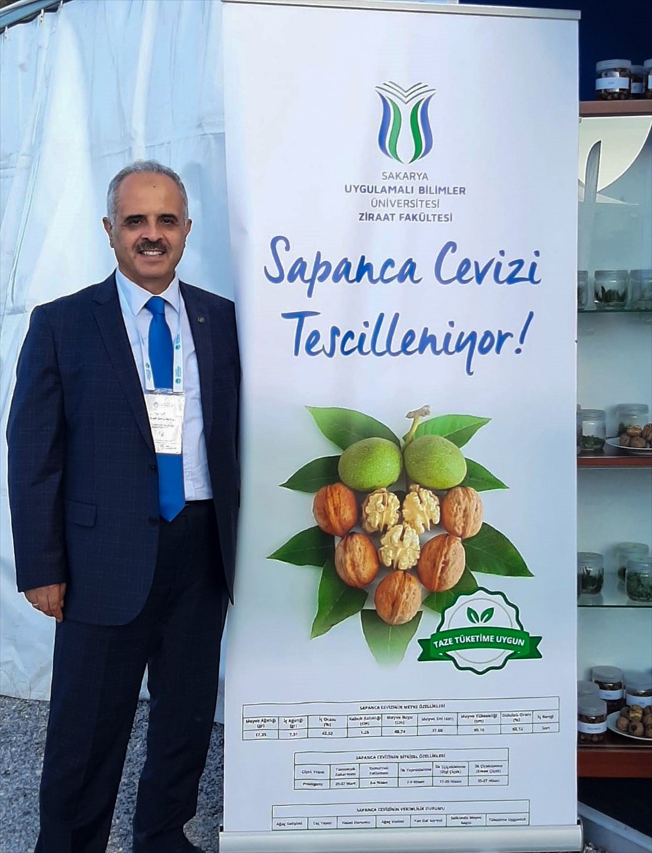 Sakarya'da yetiştirilen "Sapanca cevizi", Türk Patent ve Marka Kurumundan coğrafi işaret tescili...