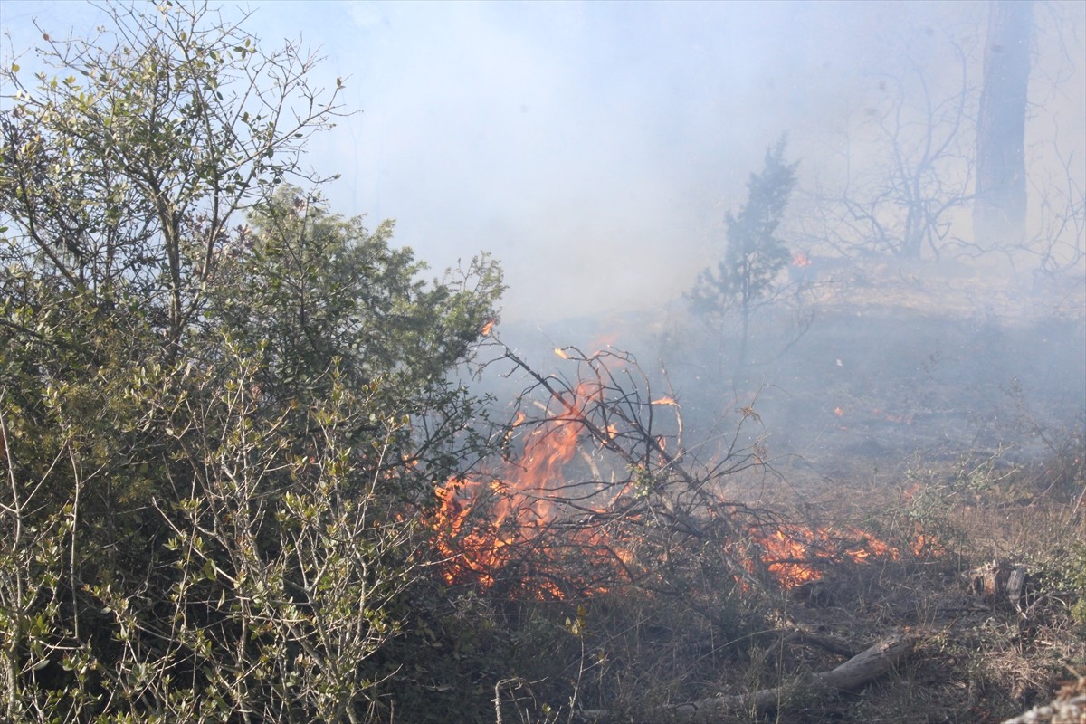 Sakarya'nın Taraklı ilçesinde ormanlık alanda çıkan yangın söndürüldü.