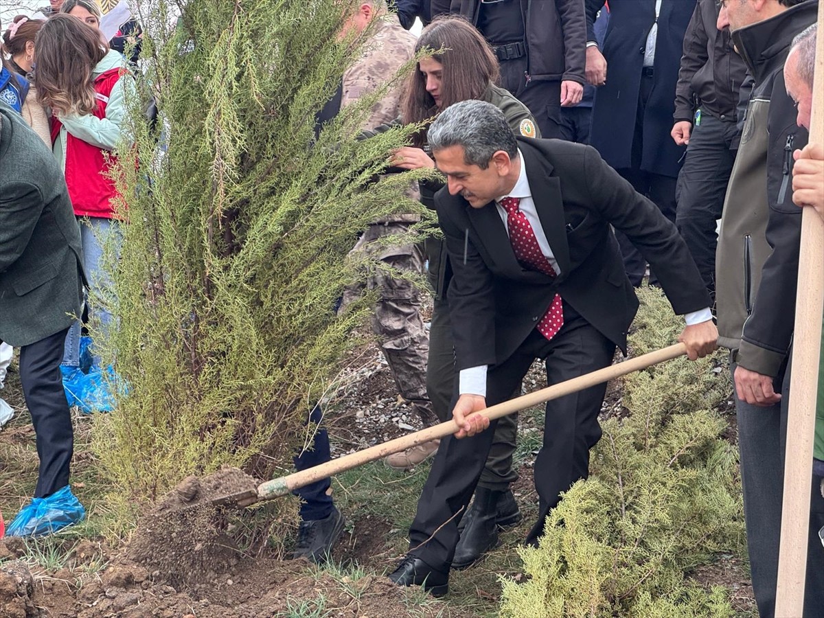 Şırnak'ta 21 Mart Dünya Ormancılık Günü ve Orman Haftası dolayısıyla Orman İşletme Müdürlüğü...