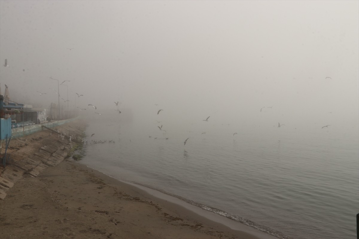 Tekirdağ'da yoğun sis nedeniyle görüş mesafesi yer yer 50 metreye kadar düştü.