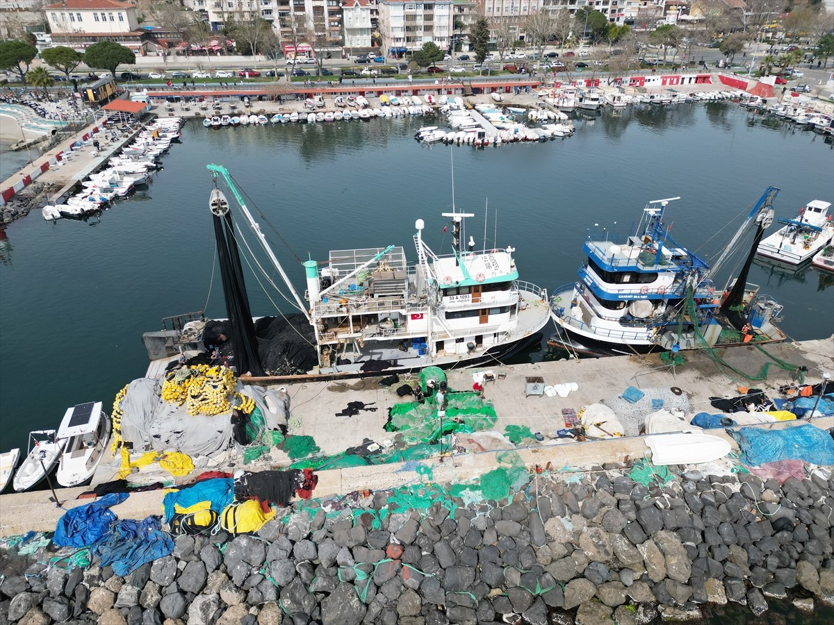 Tekirdağlı balıkçılar, Marmara Denizi'nde ağlara takılarak avlanmayı güçleştiren deniz salyası...