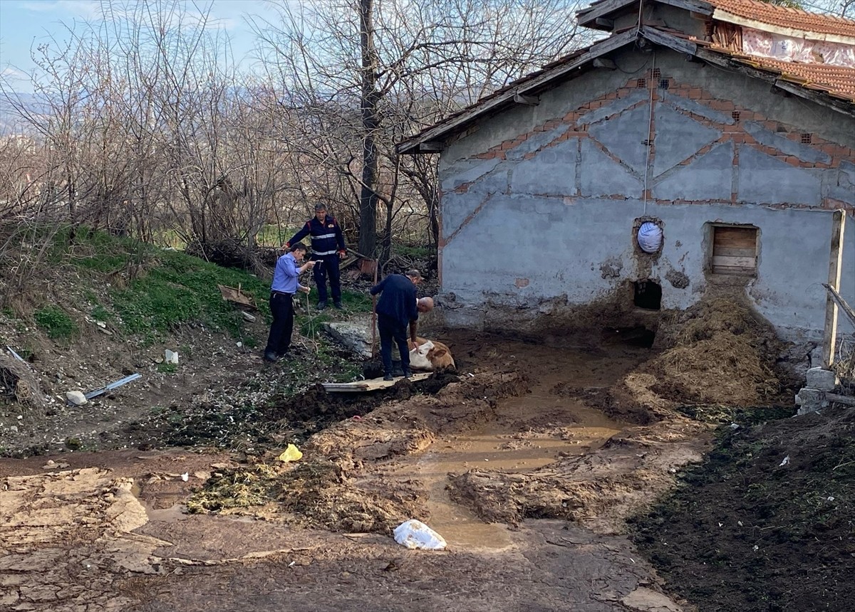 Tokat'tın Zile ilçesinde gübreliğe düşen boğa itfaiye ekiplerince kurtarıldı.