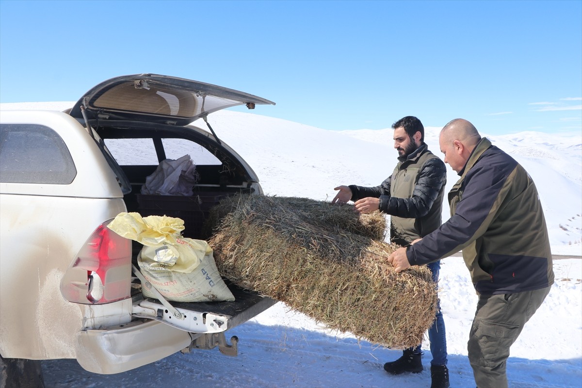 Türkiye'de kışın sert geçtiği Erzurum, Kars, Iğdır, Ardahan, Bayburt, Erzincan, Bingöl ve Ağrı'da...