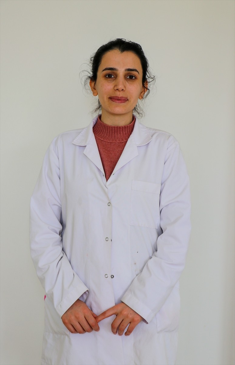 Türkiye İş Kurumu (İŞKUR) Van İl Müdürlüğü, kadınların iş gücü piyasasına katılımını desteklemek...