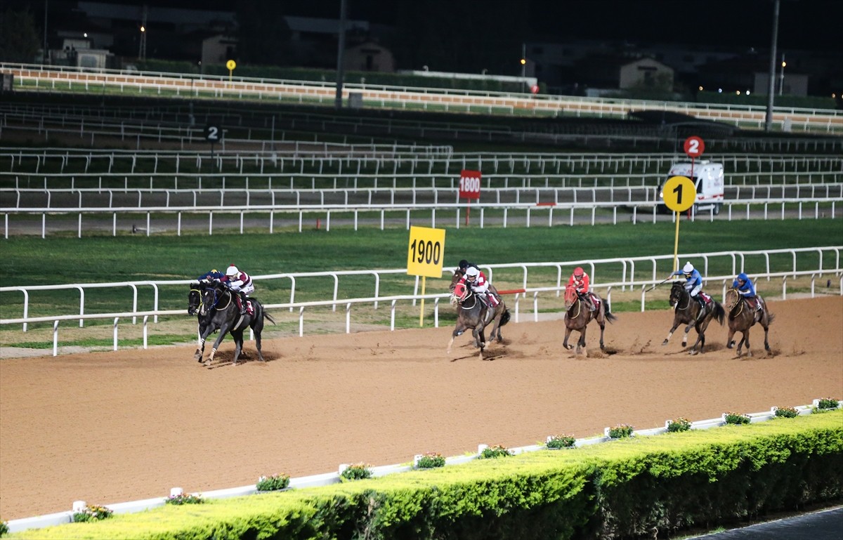 Türkiye Jokey Kulübünce (TJK) Adana'da düzenlenen "Özgecan Aslan-Kadına Şiddete Hayır Koşusu"nda...