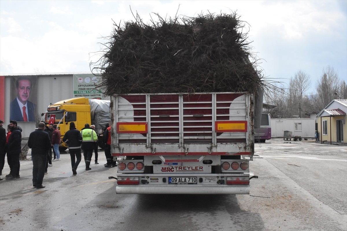 Van Valiliği ile Tarım ve Orman İl Müdürlüğünce yürütülen "Van Meyvecilik Projesi-3" kapsamında...
