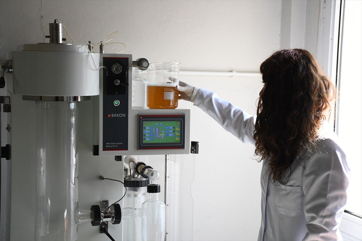 Yükseköğretim Kurulunun (YÖK) 25 devlet üniversitesinin bulundukları bölgenin dinamiklerine...