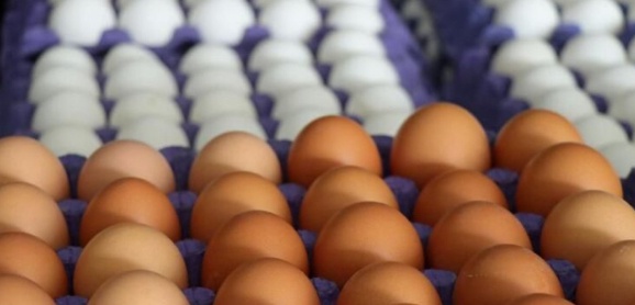 Yumurta ihracatına dev zam! 3 katı artışa imza atıldı