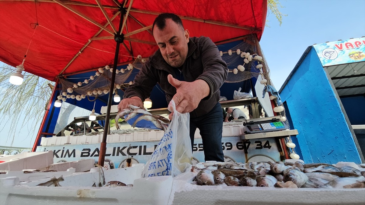 Zonguldak'ın Kozlu ilçesinde denize açılan balıkçı, avladığı 10 ton balığın satışından elde...