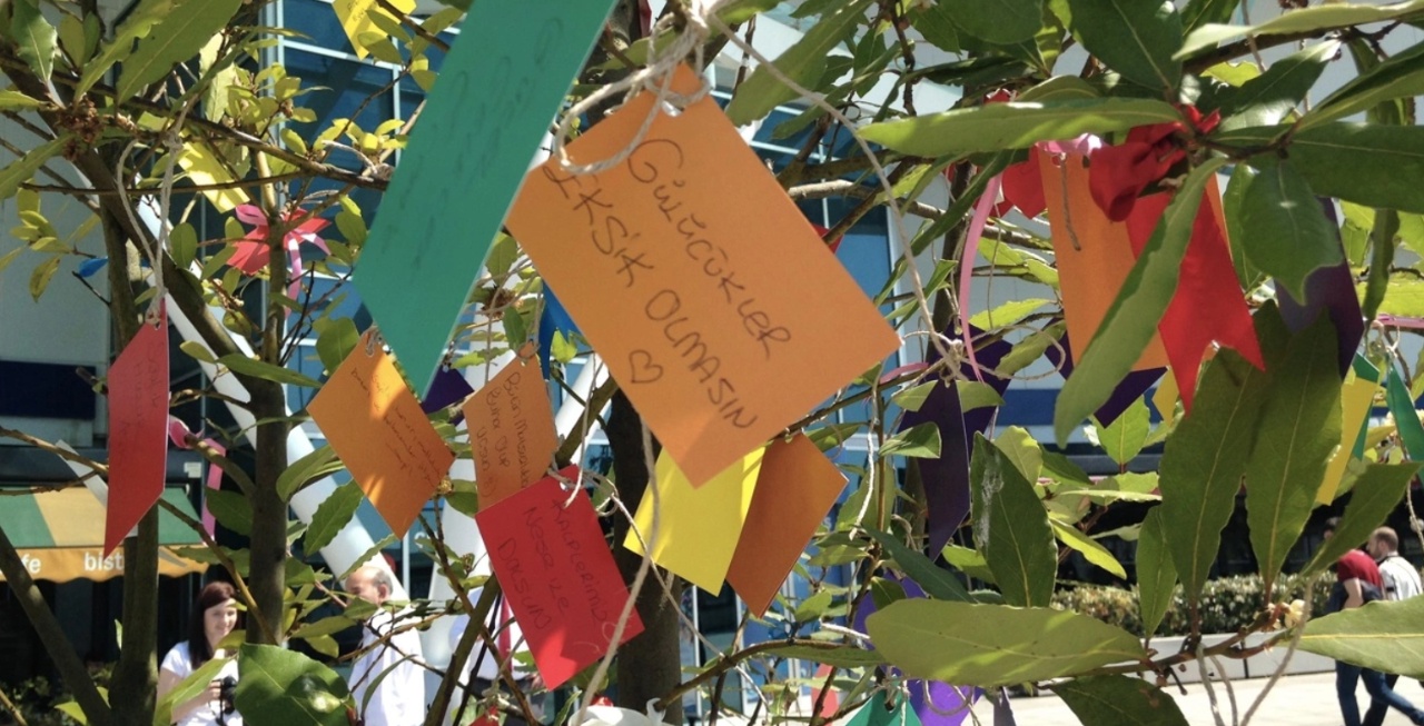 2025 Hıdırellez'i ne zaman kutlanacak? İşte O büyülü geceye dair tüm sırlar ve Dilek Ritüelleri!