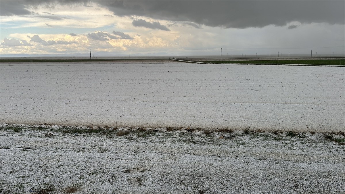 Aksaray'ın Eskil ilçesinde dolu, hayatı olumsuz etkiledi. Kısa sürede şiddetini artıran dolu, ilçe...