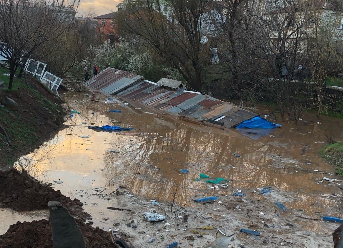 Bingöl'de etkili olan sağanakta su basan iki ahırdaki 2 büyükbaş ve 3 küçükbaş hayvan telef...