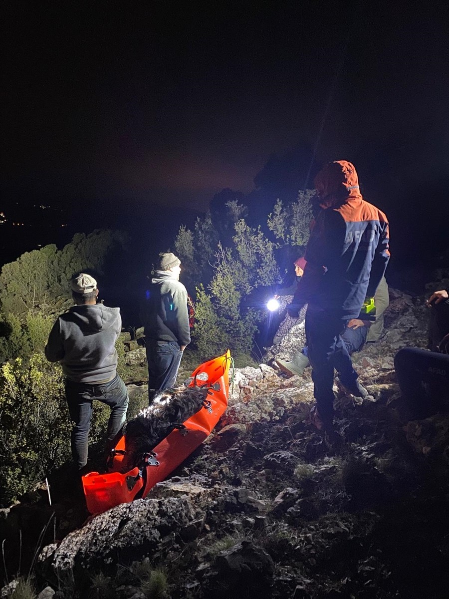 Burdur'un Çeltikçi ilçesinde dağda mahsur kalan keçi İl Afet ve Acil Durum Müdürlüğü (AFAD)...