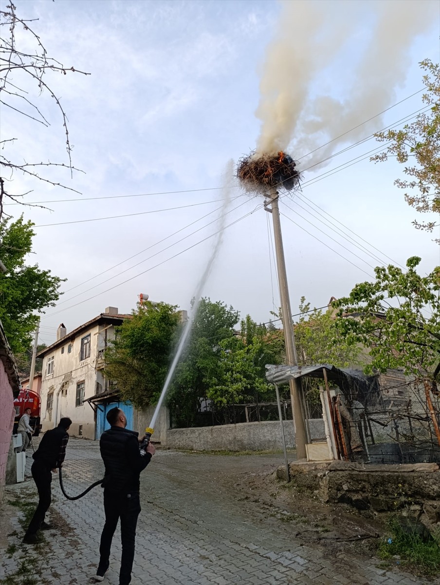 Çorum'un Dodurga ilçesindeki bir elektrik direğinde çıkan yangında leylek yuvası kullanılamaz hale...