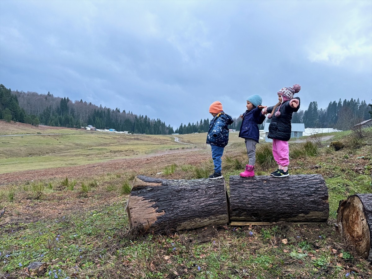 Düzce'deki yaylaları ziyaret edenler, kıştan kalan kar örtüsü ile ilkbahar mevsiminde açan...
