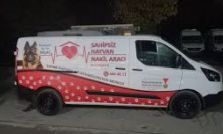 Eskişehir’den çok konuşulacak ‘Sahipsiz Köpek’ kararı: Köpek toplama aracı devreye girdi