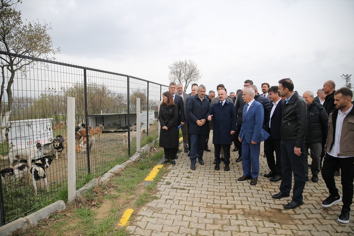 İçişleri Bakan Yardımcısı Bülent Turan (sol 3), Keşan ilçesinde Sahipsiz Sokak Hayvanları Geçici...