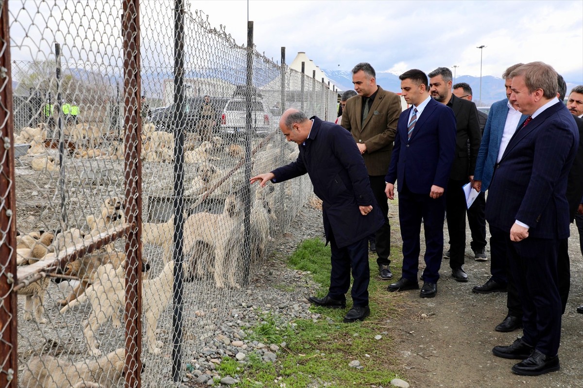 İçişleri Bakan Yardımcısı Mehmet Aktaş, Erzincan'da sahipsiz hayvanlar için yapılan yaşam alanını...